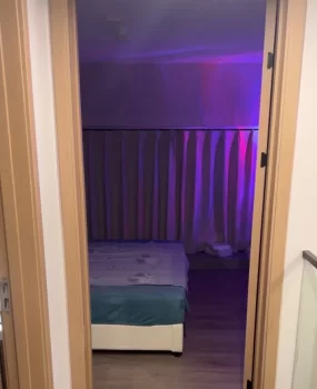 意外收获隐藏式公寓